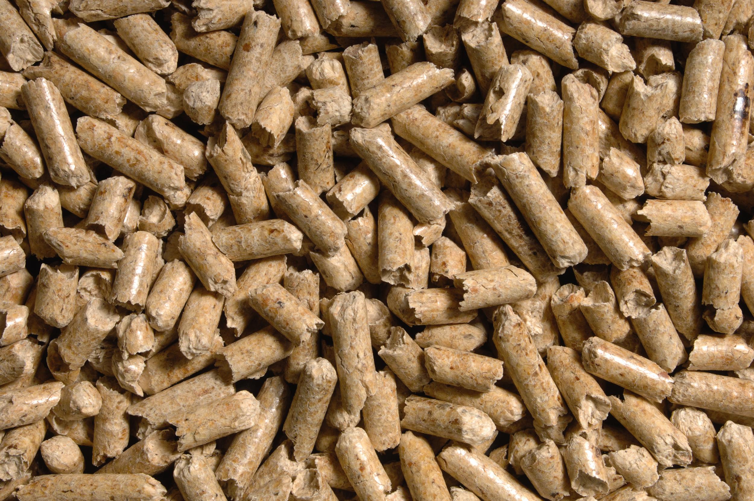 Holz als Heizressource