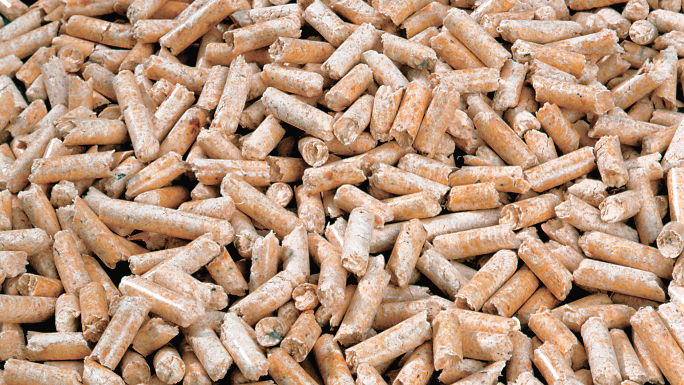 Holzpellets